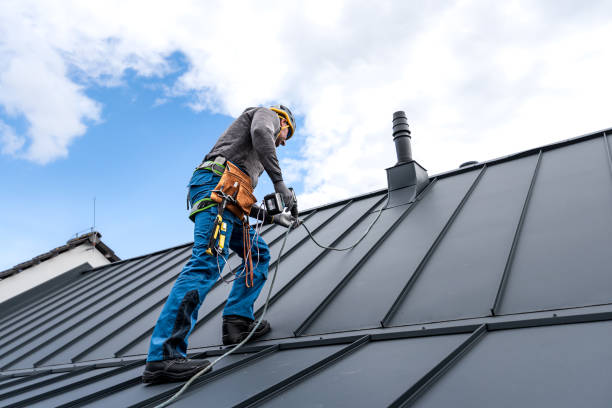 Best Roof Coating and Sealing  in Blaine, MN